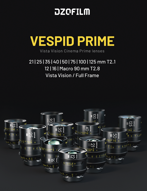 DZOFILM DZO-VP7V2PL Vespid 9レンズ キット PLマウント(16,25,35,40,50,75,90,100,125mm)(EFマウント付属＆ケース付き)
